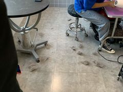 -宠颐生动物医院·心脏科·保险定点(锦阳分院)