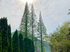 -会稽山峡洞漂流-上青古道