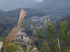 -桃花岭景区