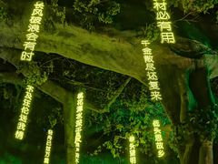 -横店影视城梦幻谷园区