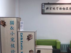 -北京观赏动物医院·24小时大型综合·猫专科·异宠专科
