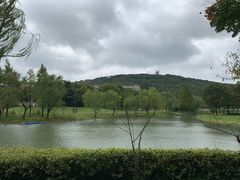 -上海佘山世茂艾美酒店
