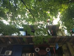 -黄桷坪涂鸦艺术街