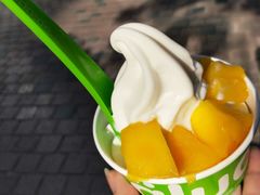 -Salud撒露欧洲冻酸奶(蓝色港湾店)