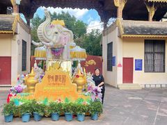 -婉泰·特色小吃·舂鸡脚(告庄二店)