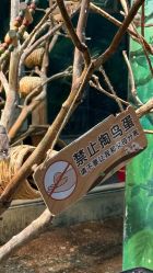 -Zoolung Zoolung动物主题公园(海信广场店)