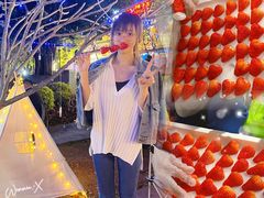 -凤城·食都