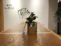 -猫的天空之城概念书店(束河店)