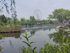 -无锡蠡湖国家湿地公园-蠡园