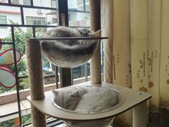 -番禺广场(市桥街道)