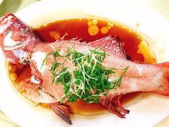 -老字号蛇口德记烧腊饭店·海鲜加工