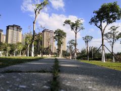-龙江公园