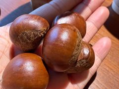 -秋栗香(地安门店)