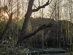 -黄兴公园