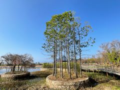 -月亮湾湿地公园