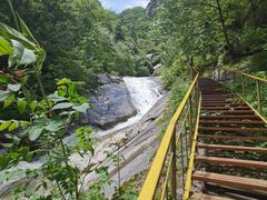 -青峰峡国家森林公园