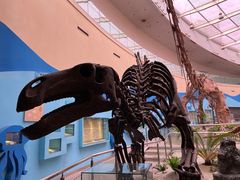 -陕西自然博物馆