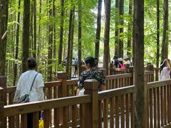 -山王坪喀斯特国家生态公园