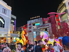 -越秀西湖花市(广州城市广场花卉店)