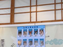 -Let's go狗咖·猫咖·奶狗·桌游(春熙路IFS店)