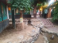 -小江南(万福园店)