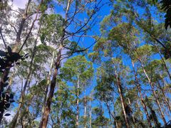 -水濂山森林公园