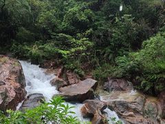 -广州白江湖森林公园