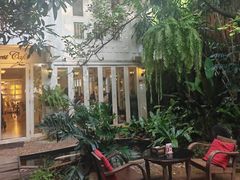 -Fern Forest Cafe