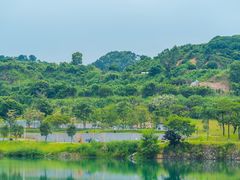 -水濂山森林公园