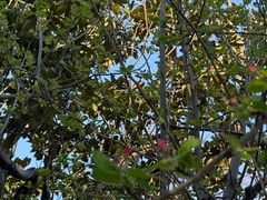 -白塘生态植物园