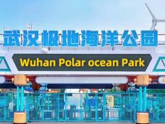 -海合安武汉极地海洋公园