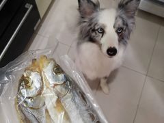 -美味之家·湖景农家乐(太湖东山店)