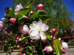 -元大都城垣遗址公园