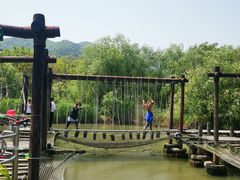-长兴太湖图影湿地文化园