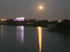 -九里河湿地公园
