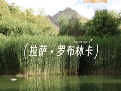 -罗布林卡