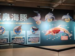 -锦艺城海洋馆