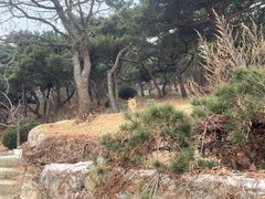 -棒棰岛宾馆景区