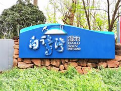 -白鹭湾湿地公园