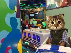 -汤姆熊欢乐世界(光启城店)