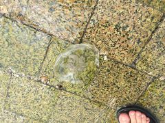 -日照世帆赛基地