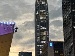 -深圳星河丽思卡尔顿酒店