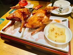-大鸽饭(岗顶店)