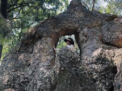 -潭柘寺景区