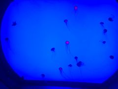 -沈阳海洋探索中心