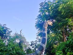 -海南热带野生动植物园