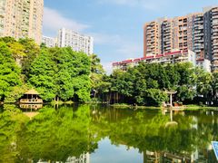 -四海公园(南山区)