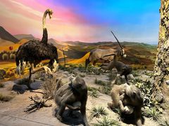 -国家自然博物馆