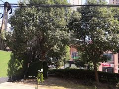 -老乡鸡(武汉烽胜路店)