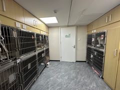-美联众合爱康动物医院•复杂内科•肿瘤科•牙科•腔镜诊疗中心